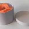 IMG_20260501_100148 Bougie - Orange confite (pot en métal blanc)